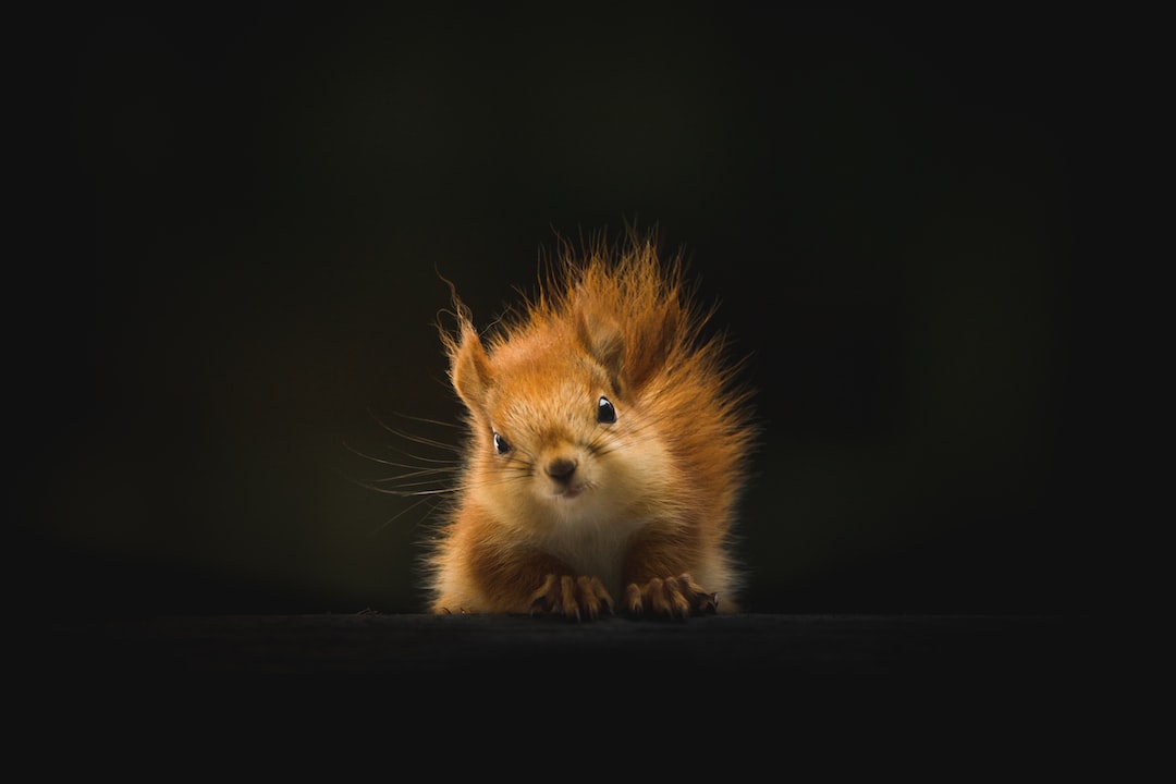 Очаровательные крошечные: мир маленьких животных